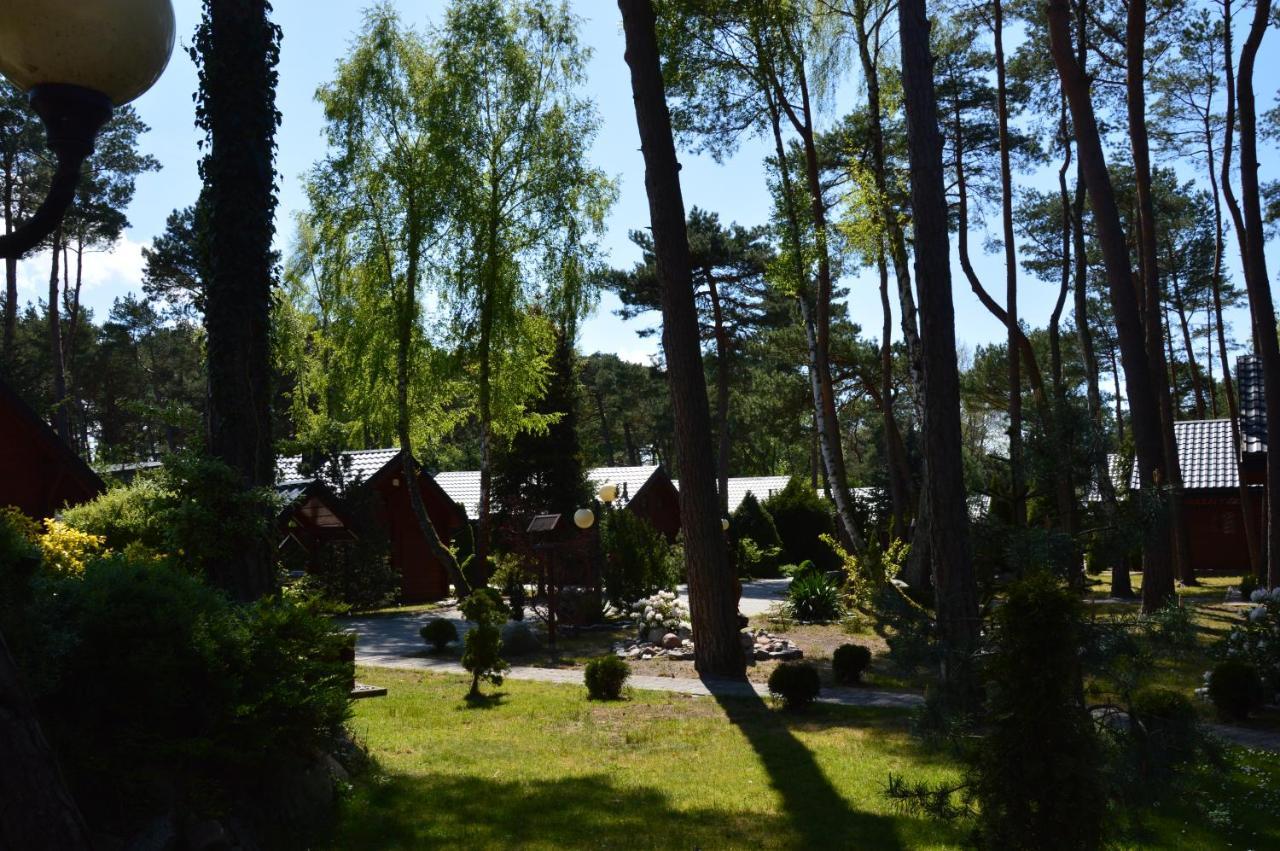 Domki Pod Wydmami 40M Od Plazy Дзьвіжино Екстер'єр фото